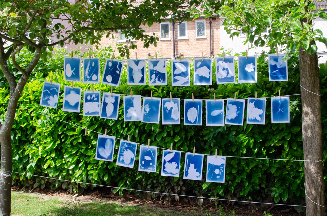 A Space to Create: Adult Cyanotype Workshop
