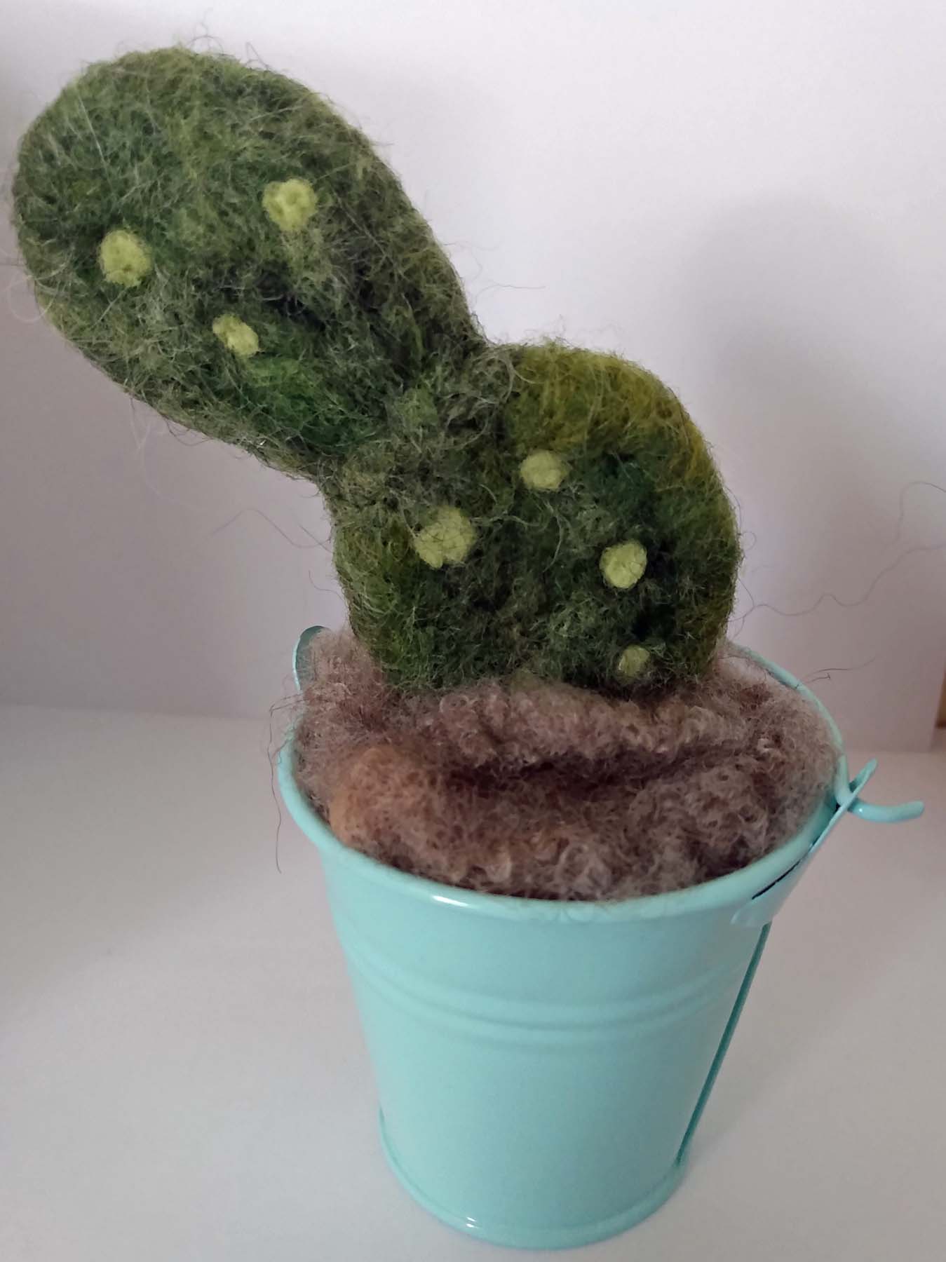 Needle Felting Workshop: A Little Cacti