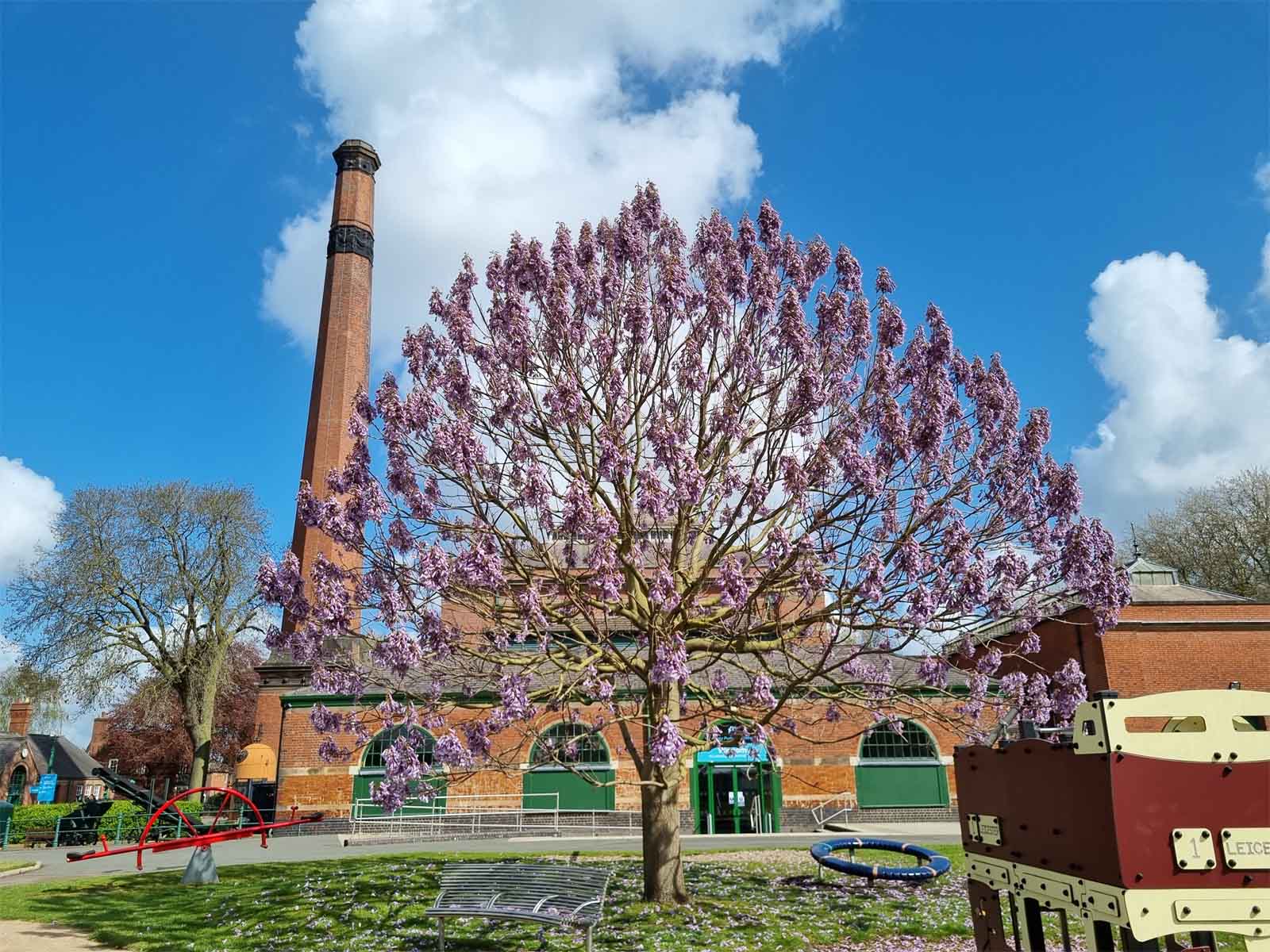 The Big Community Plant Swap