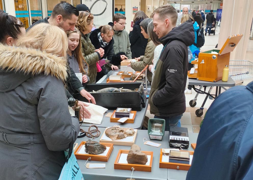 Cabinet of Curiosity - Highcross - Pop-Up Museum