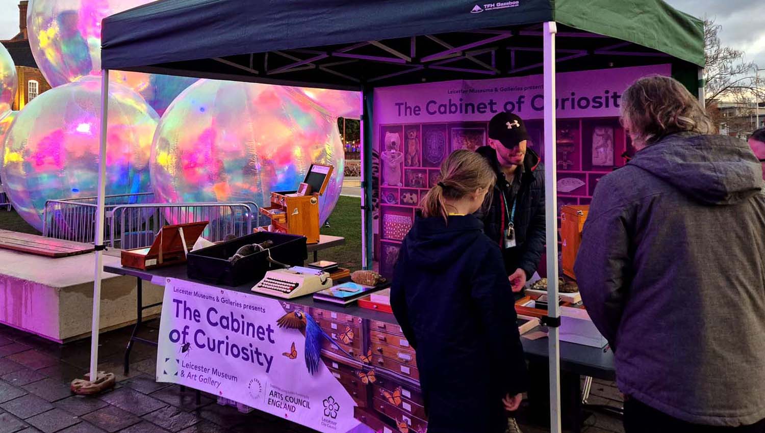 Cabinet of Curiosity - Riverside Festival 2026