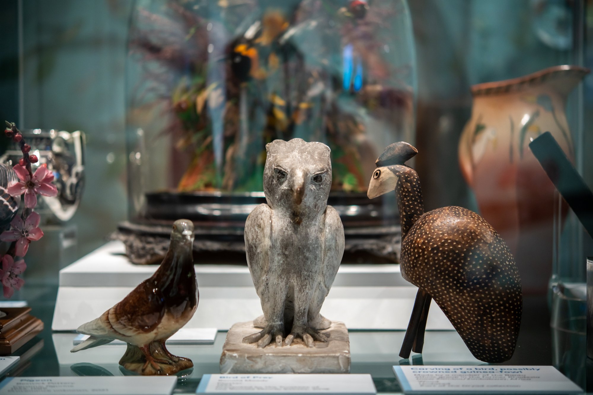 A case containing inspirational bird objects from the museum's collections, which accompanied the artwork display