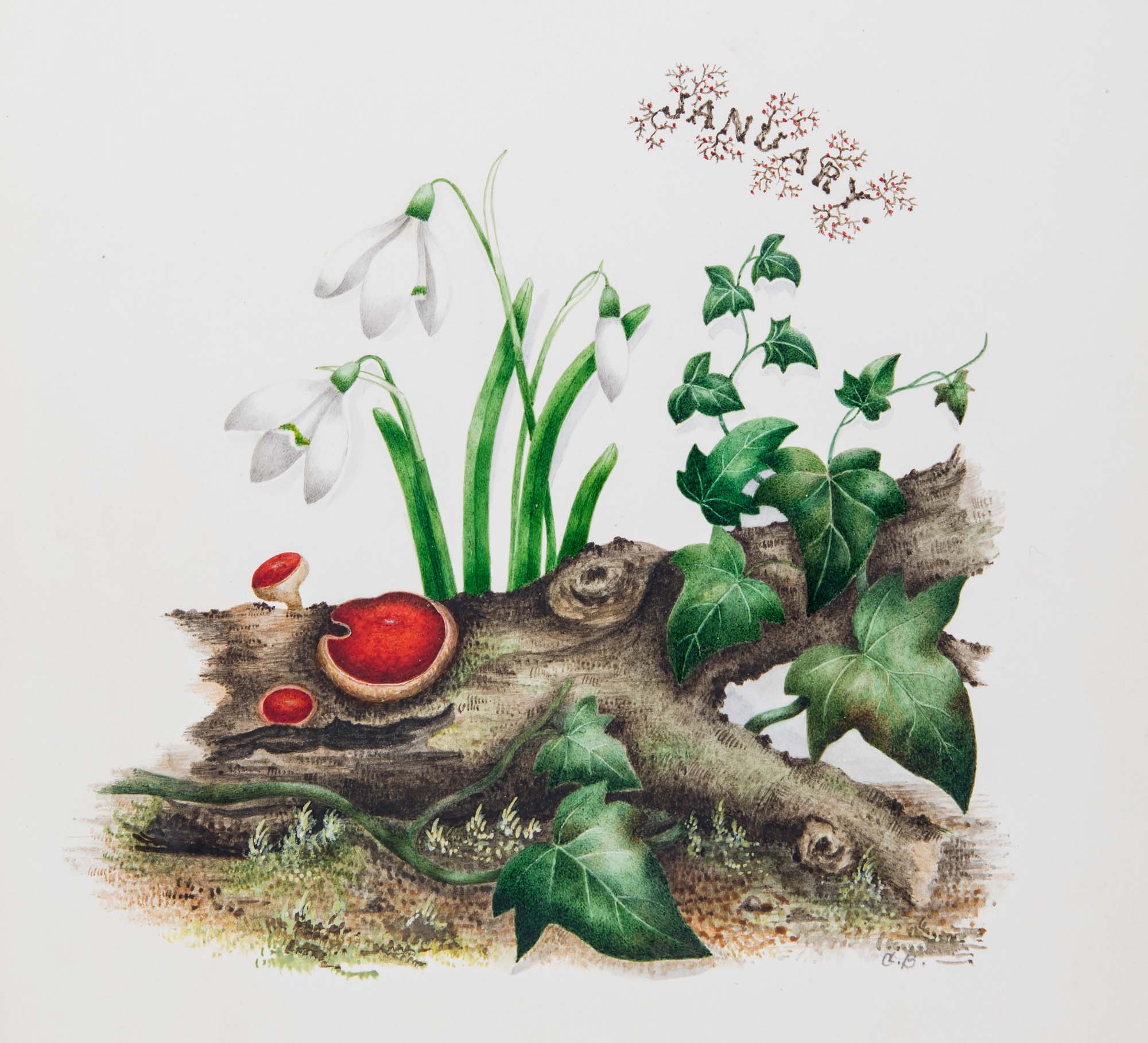 Photo of an artwork depicting snowdrops and mushrooms