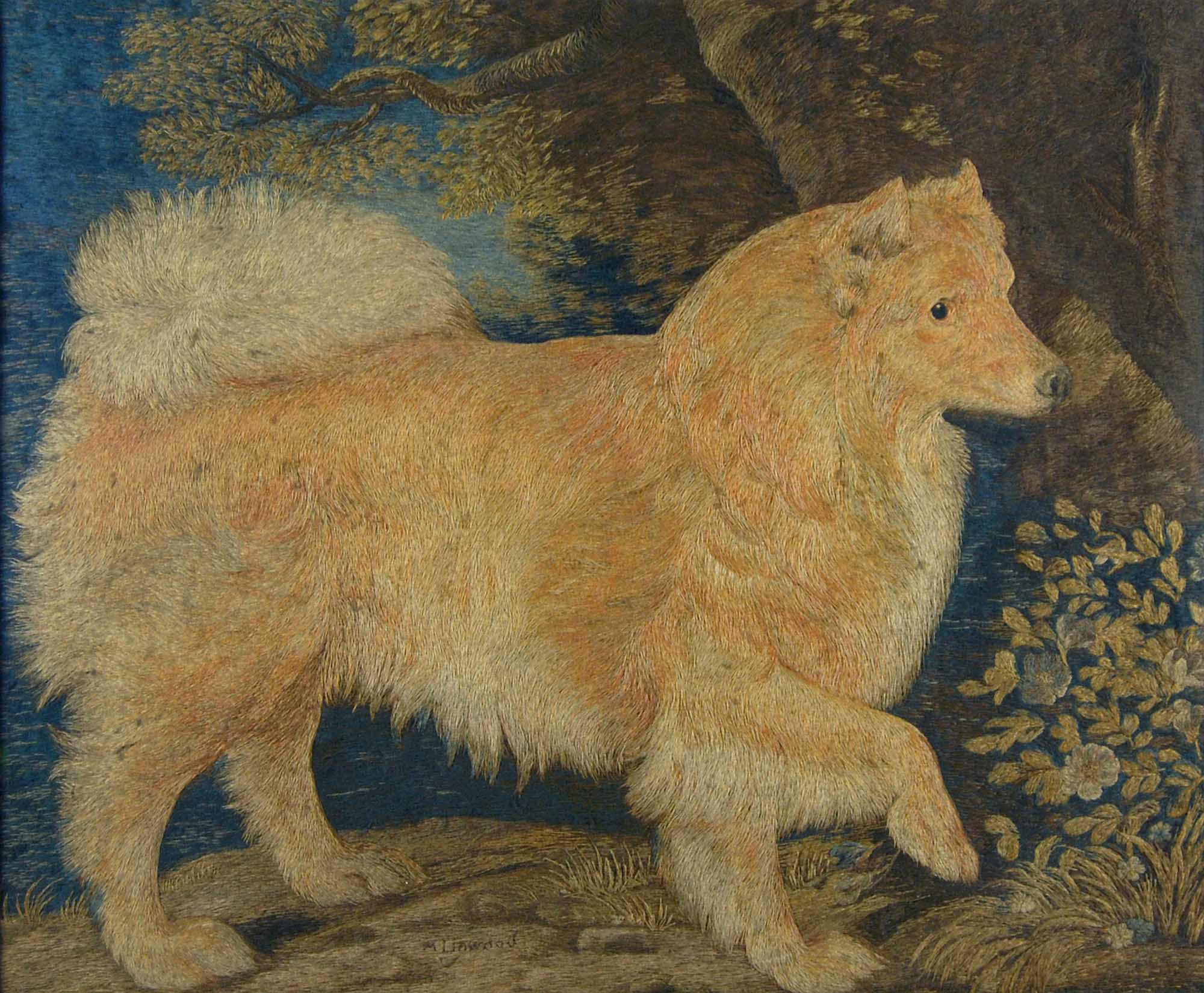 Pomeranian Dog artwork