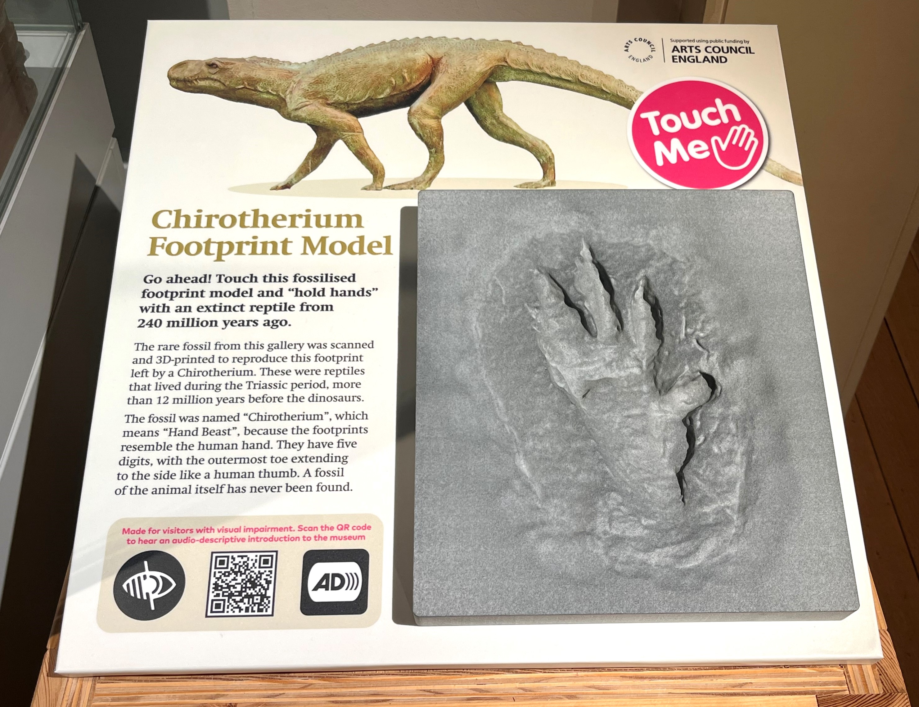Chirotherium Footprint Model
