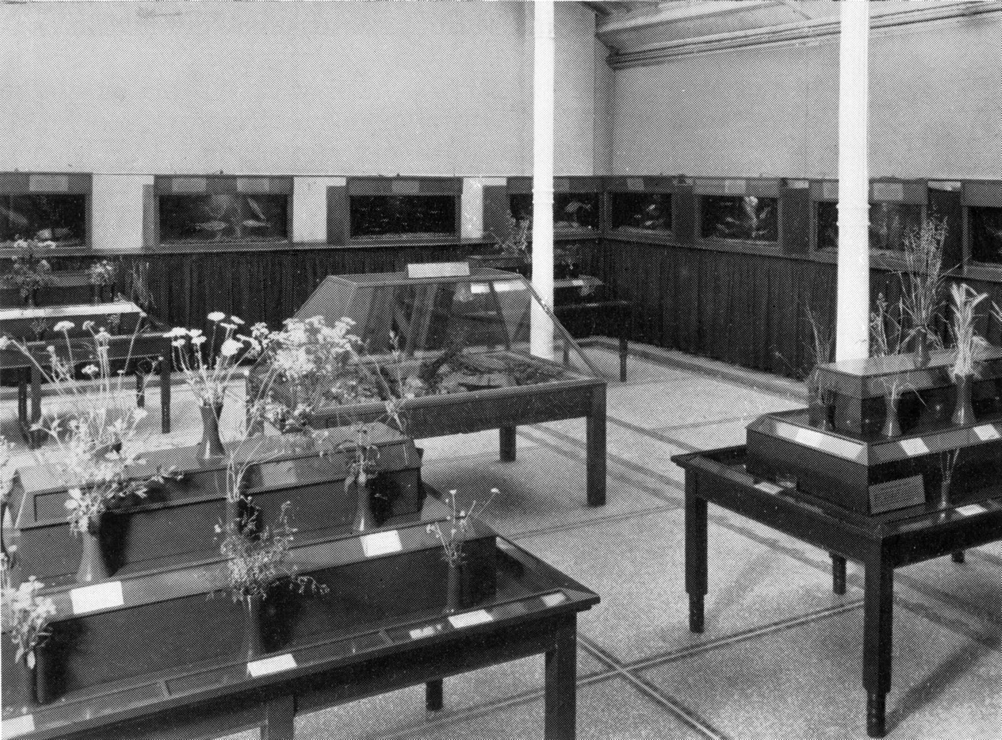 Vivarium 1939