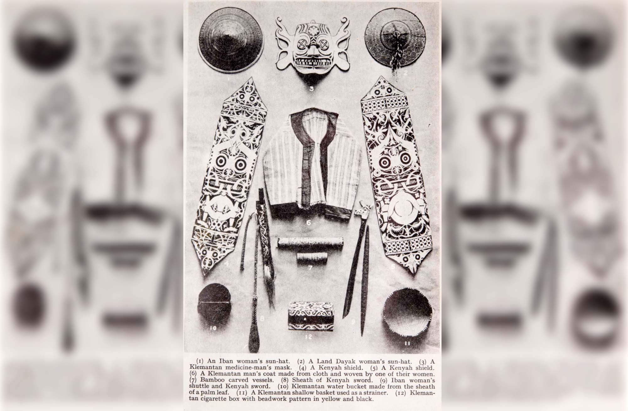 Image of a page from a Dryad catalogue