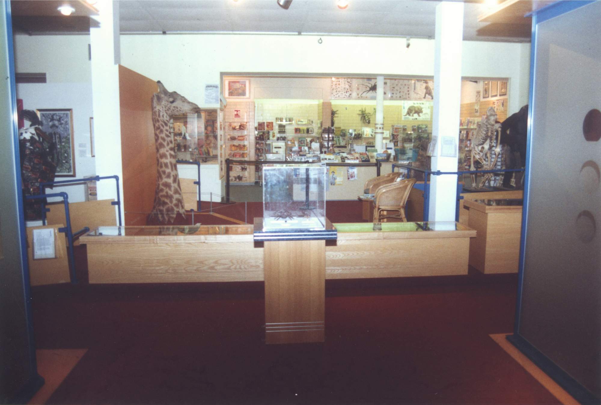 1999 150Th Exhib Giraffe And Shop