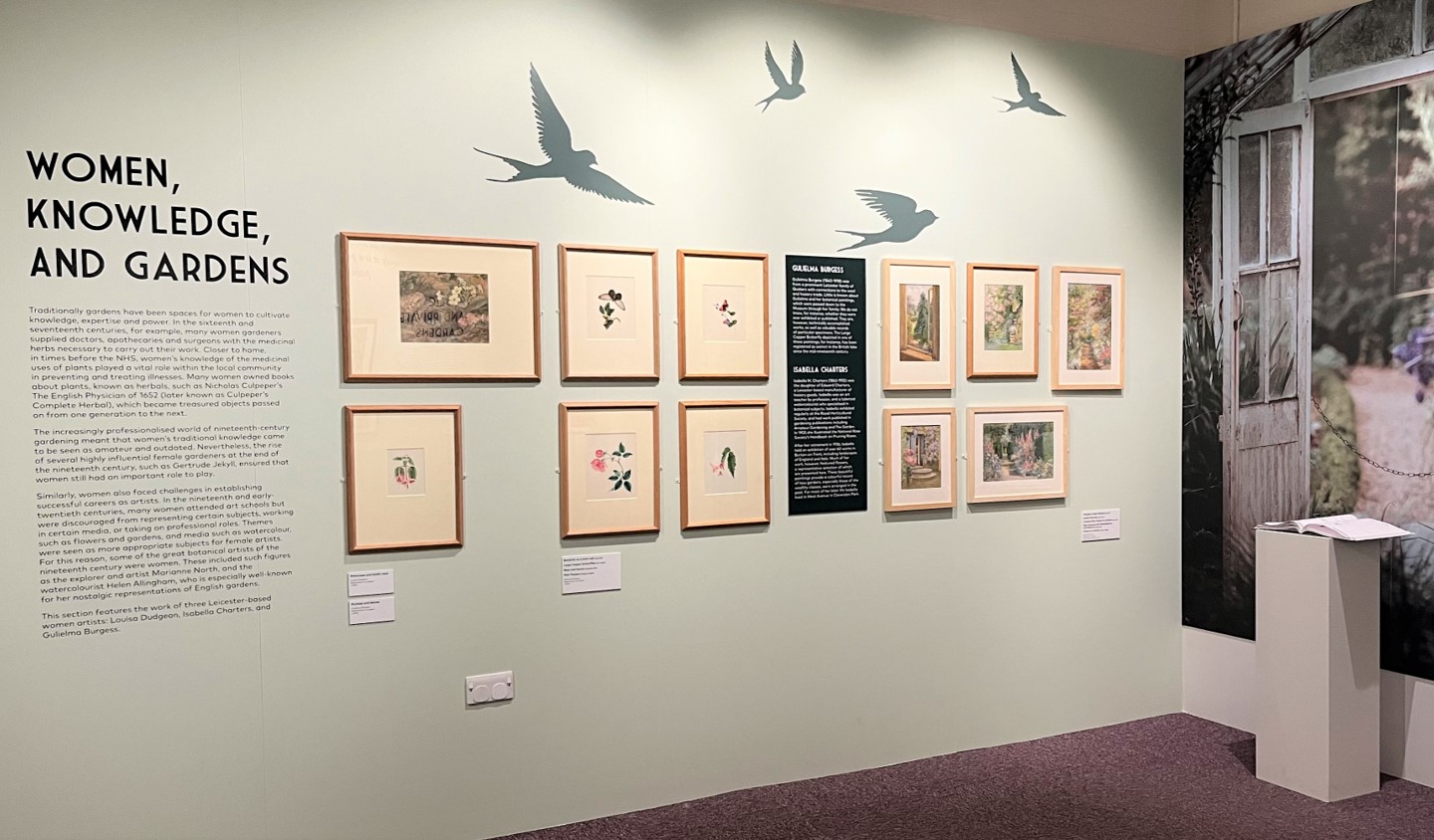 Some of Gulielma's watercolours on display in the exhibition 'Nature’s Art: Gardens in Leicester and Beyond', Autumn 2022 at Newarke Houses
