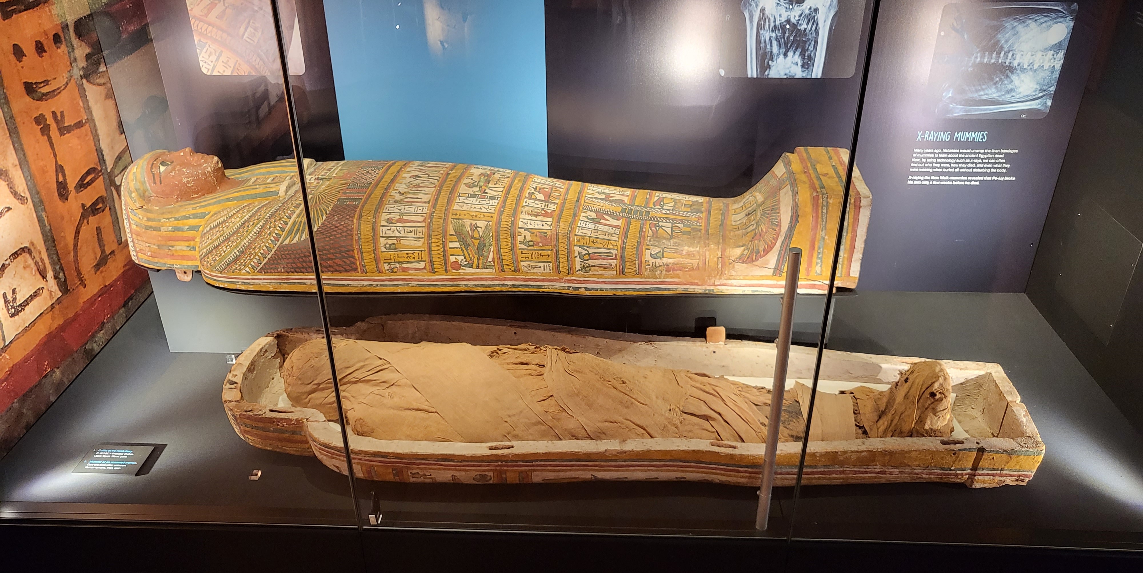 Coffin Of Pa Nesit Tawy & Mummy