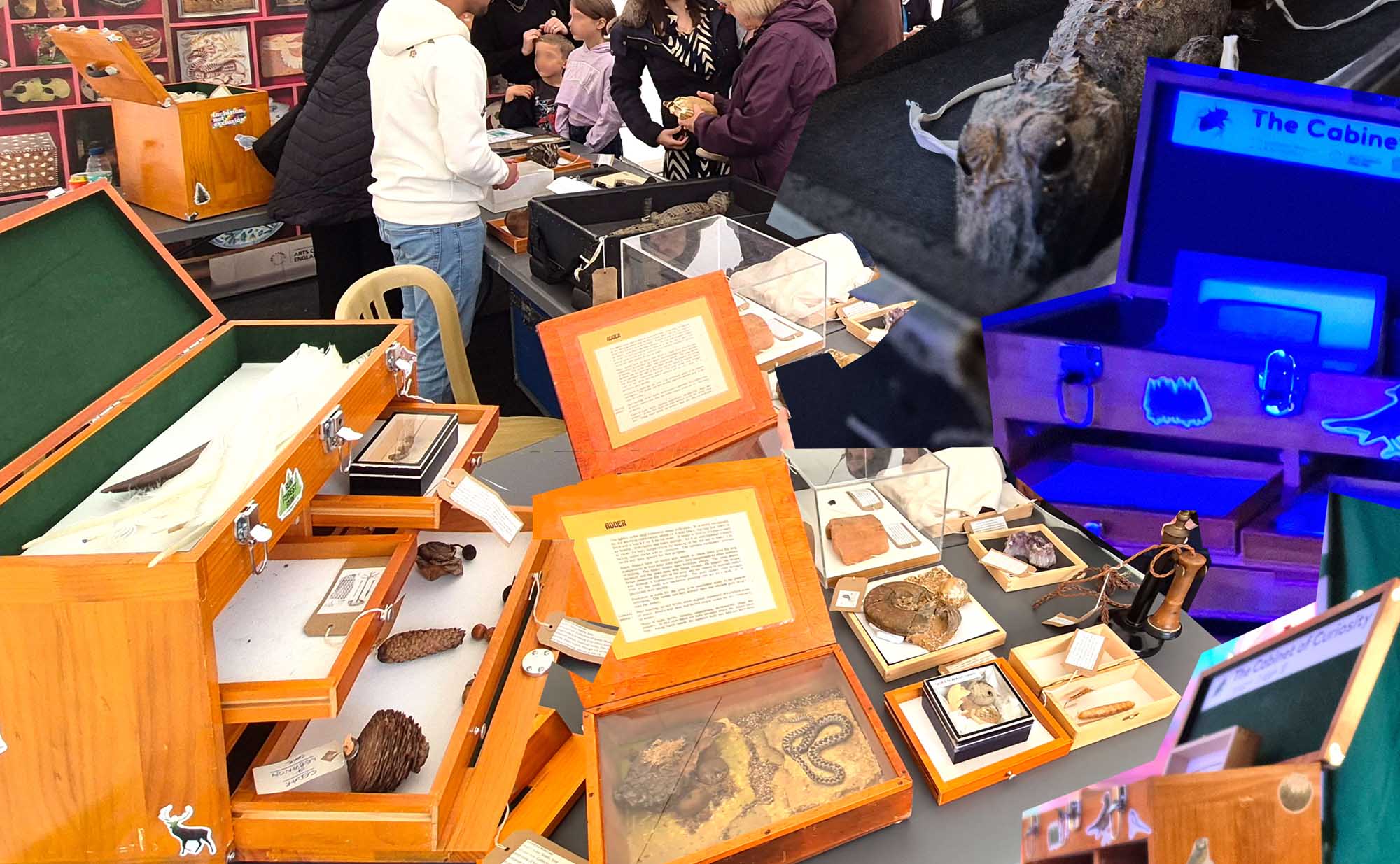 The cabinet of curiosity photo